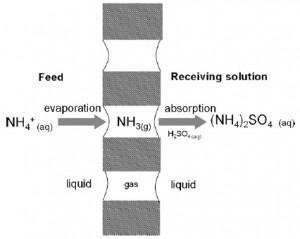 شبیه سازی فرآیند شیمیایی حذف آمونیاک از پساب با متلب