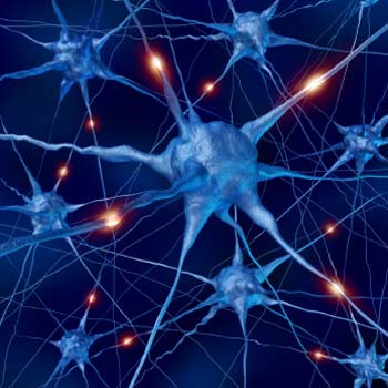 مقاله ترجمه شده اثر یادگیری بر توپولوژی شبکه عصبی