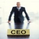 مقاله مجازات های مشهور برای CEO و CFO