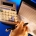تاثیر حسابرسی در وضعیت کشورها