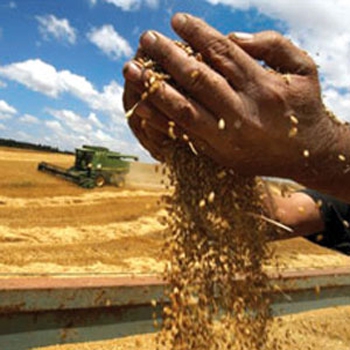 مقاله ترجمه شده نقش تجارت در امنیت غذایی جهانی پایدار