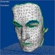برنامه ای برای پیاده سازی عکس های سه بعدی چهره بروی صفحه دو بعدی با الگوریتم lSCM با متلب