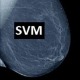 شبیه سازی تشخیص سرطان سینه با متلب