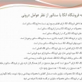پاورپوینت مقایسه فروشگاه های زنجیره ای