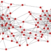 تحقیق تشخیص جوامع در شبکه‌های اجتماعی به کمک الگوریتم‌های تکاملی