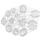 شبیه سازی تشخیص ساختارهای اجتماعی در گراف به زبان C++