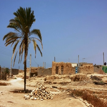 تحقیق مسکن مقاوم روستایی و توسعه پایدار ( مطالعه موردی روستاهای استان بوشهر)