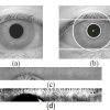 پردازش تصویر تشخیص هویت افراد با استفاده از تصویر عنبیه چشم با نرم افزار متلب
