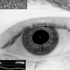 پردازش تصویر تشخیص هویت افراد با استفاده از تصویر عنبیه چشم با نرم افزار متلب