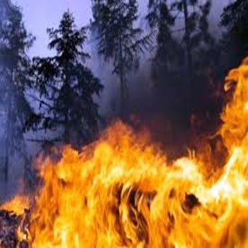 ترجمه یک روش داده کاوی برای پیش‌بینی آتش‌سوزی جنگل با استفاده از داده‌های هواشناسی