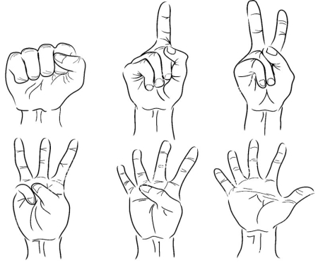 پروژه آموزشی تشخیص تعداد انگشتان دست با نرم افزار متلب + دیتاست