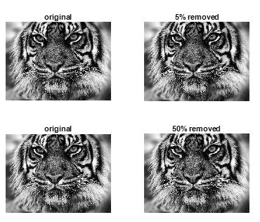 پروژه آموزشی فشرده سازی تصویر با استفاده از تبدیل فوریه دو بعدی با متلب