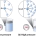 پروژه آموزشی حجم مولی و ضریب تراکم پذیری از معادله واندروالس در پایتون