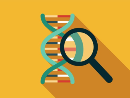 پروژه آموزشی پیاده سازی یک الگوریتم ژنتیک شخصی برای حل مساله با پایتون