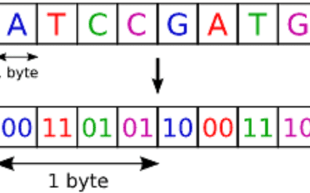 پروژه آموزشی همتراز نمودن دو رشته طولانی DNA (First seq, Second seq) با C++