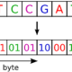 پروژه آموزشی همتراز نمودن دو رشته طولانی DNA (First seq, Second seq) با C++